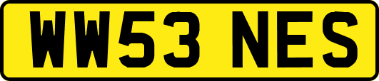 WW53NES
