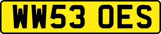 WW53OES