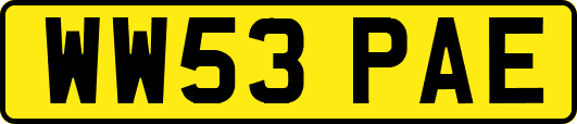 WW53PAE