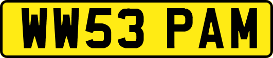 WW53PAM