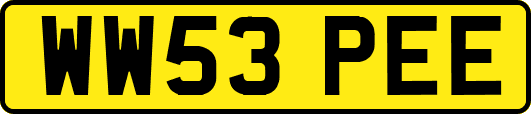 WW53PEE