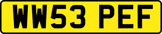 WW53PEF