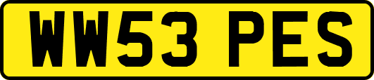 WW53PES