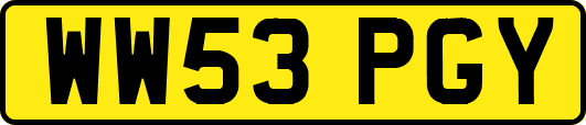WW53PGY