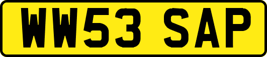 WW53SAP