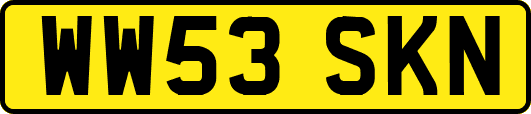 WW53SKN
