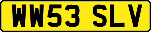 WW53SLV