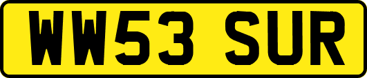 WW53SUR