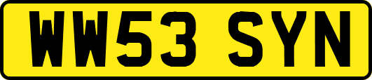 WW53SYN