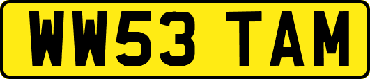WW53TAM