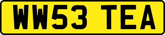 WW53TEA