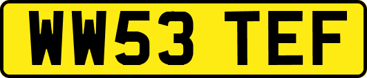 WW53TEF