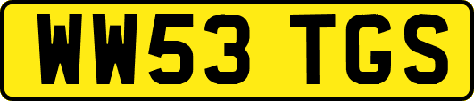 WW53TGS
