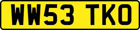 WW53TKO