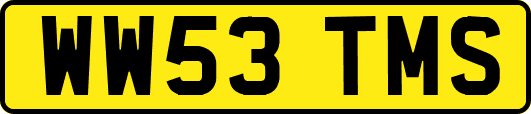 WW53TMS
