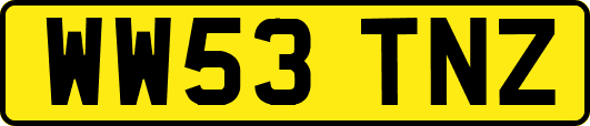 WW53TNZ