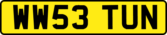 WW53TUN