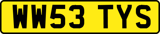 WW53TYS