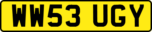 WW53UGY