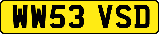 WW53VSD