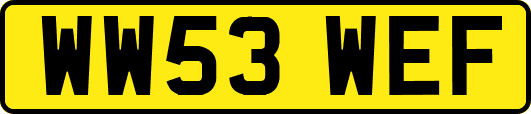 WW53WEF