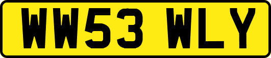 WW53WLY