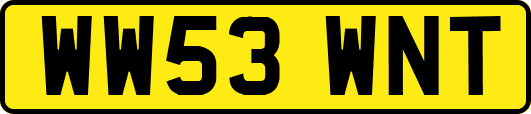 WW53WNT