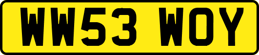WW53WOY