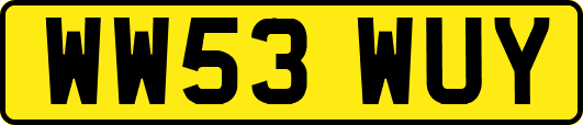 WW53WUY