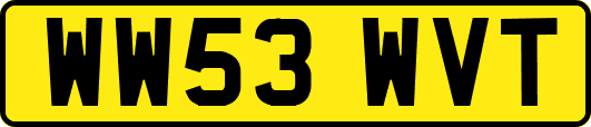 WW53WVT