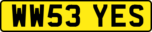 WW53YES