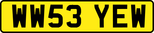 WW53YEW