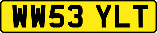 WW53YLT