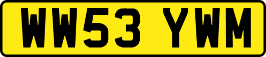 WW53YWM
