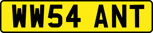 WW54ANT