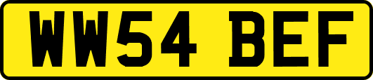 WW54BEF