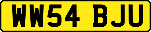 WW54BJU