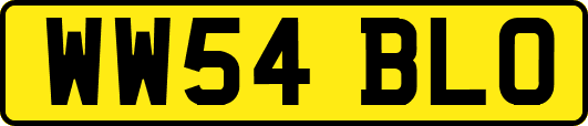 WW54BLO