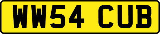 WW54CUB