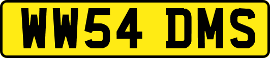WW54DMS