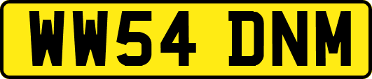 WW54DNM