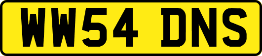 WW54DNS