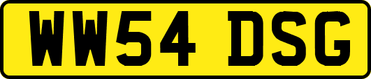 WW54DSG