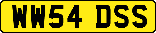 WW54DSS