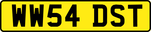 WW54DST