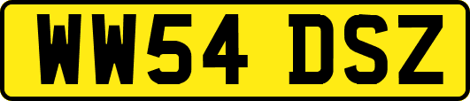 WW54DSZ