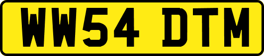 WW54DTM