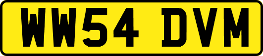 WW54DVM