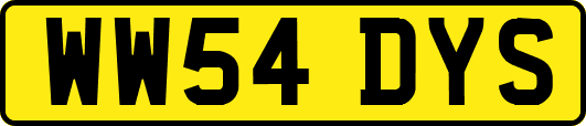 WW54DYS