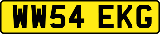 WW54EKG